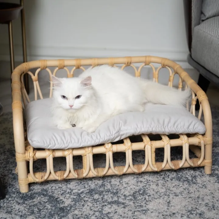 Pet Bed Kecil Rotan with Cushion